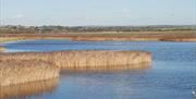 Farlington landscapes - by Nat Rogers