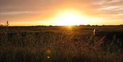 Hay field at dawn - photograph by Nick Rowe