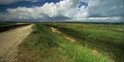 Farlington Marshes by Albert Roberts