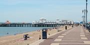 View of South Parade Pier in the distance.