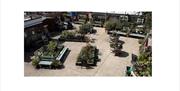 Waterfront Garden Centre plants for sale
