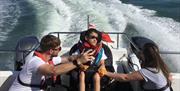 A family gets out to sea with Wetwheels Solent