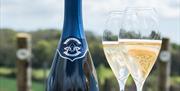 Hambledon Vineyard English sparkling wine