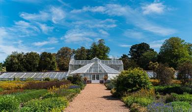 Victorian Glasshouse at Staunton Farm