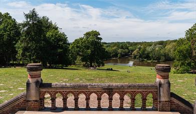 View out over Staunton Country Park under a blue sky