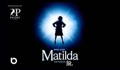 Poster for Matilda The Musical Jnr