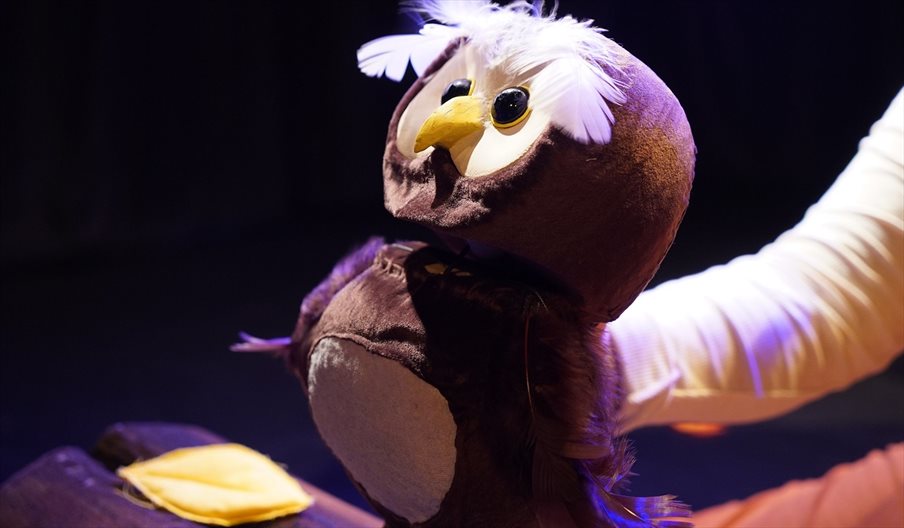 An Owl from the Baby Bear production