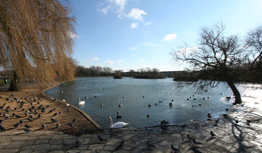 Image of Baffins Pond