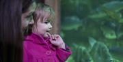 Little girl at Blue Reef Aquarium in portsmouth