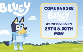 Poster for Bluey at Spinnaker Tower
