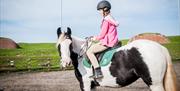 Riding at Fort Widley Equestrian Centre