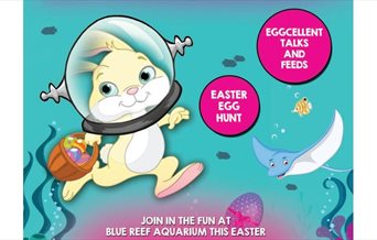 Illustration for the Easter Egg-Stravaganza at Blue Reef Aquarium in Portsmouth