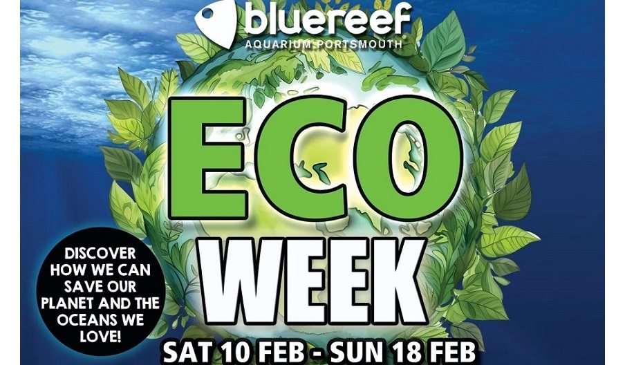 Poster for Eco Week at Blue Reef Aquarium