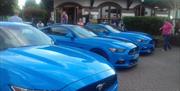 A Mustang Car Meet at Port Solent