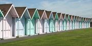 Southsea Beach Huts, multicoloured
