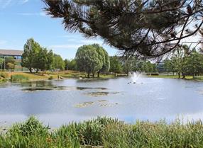 Arlington Business Park view of lake and trees 