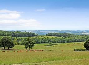 View from Nuffield Hill, Reading