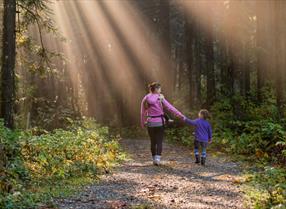 Girl and her mum walking in a sunny forest