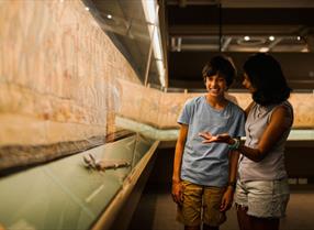 Mother and son looking at the Bayeux Tapestry in Reading Museum