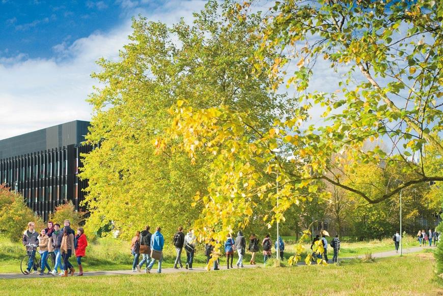 University of Reading campus