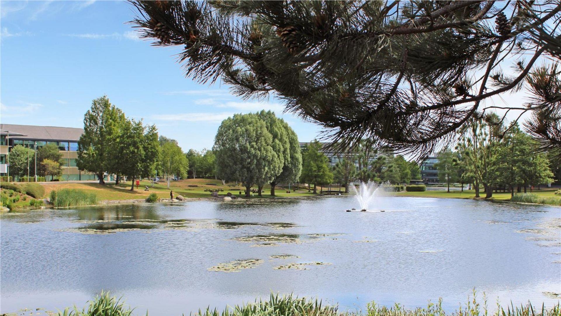 Arlington Business Park view of lake and trees