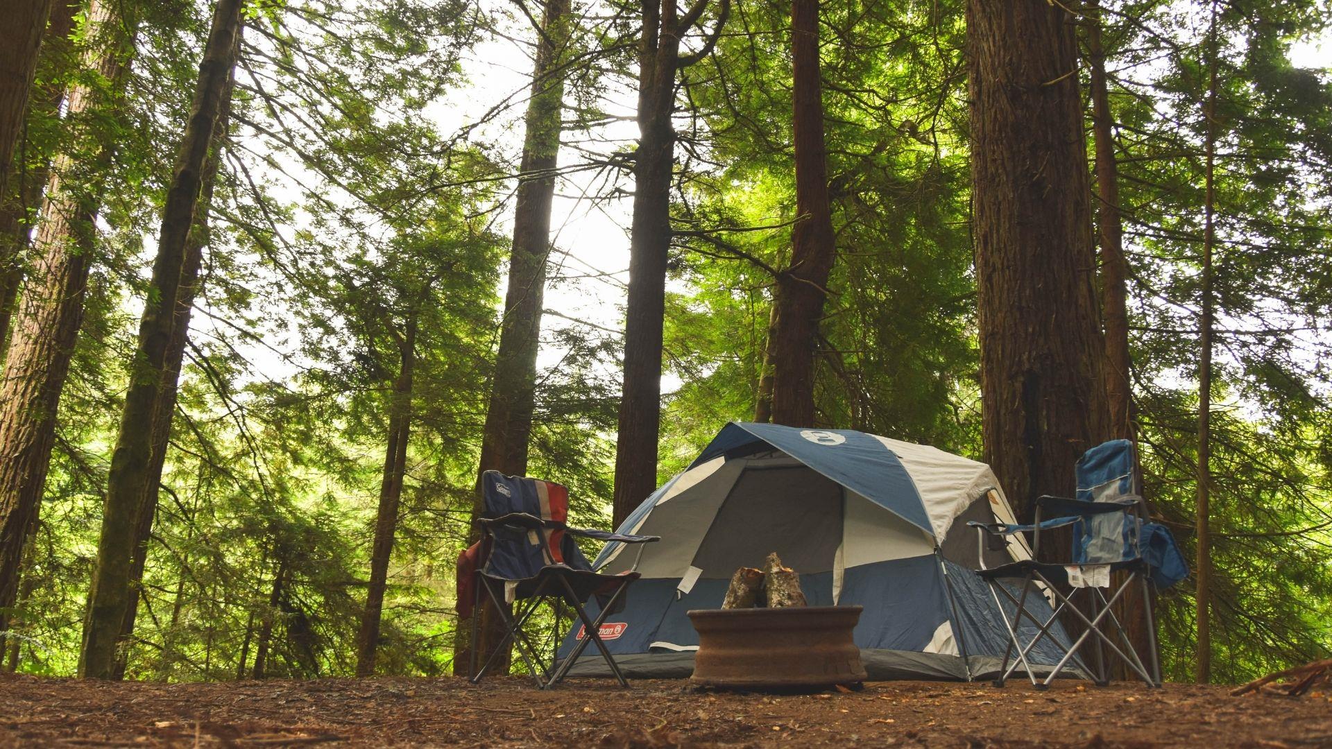 Camping tent and chairs in woodland