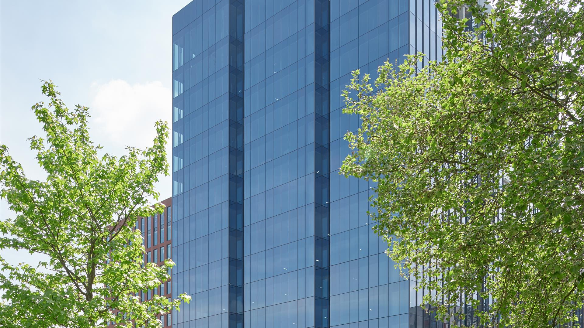 Station hill building surrounded by trees