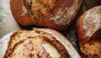 Bread