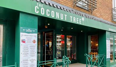 Front of Coconut Tree