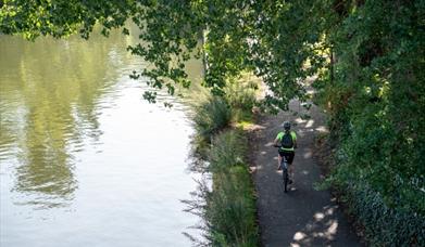 Cyclist on Thames Path 