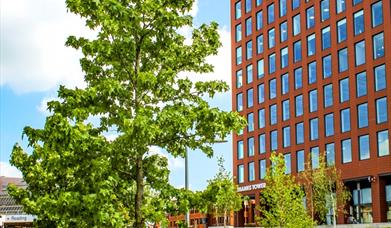 tower block from below with tree in foreground