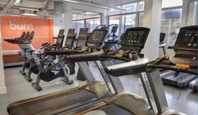 treadmills and other gym equipment