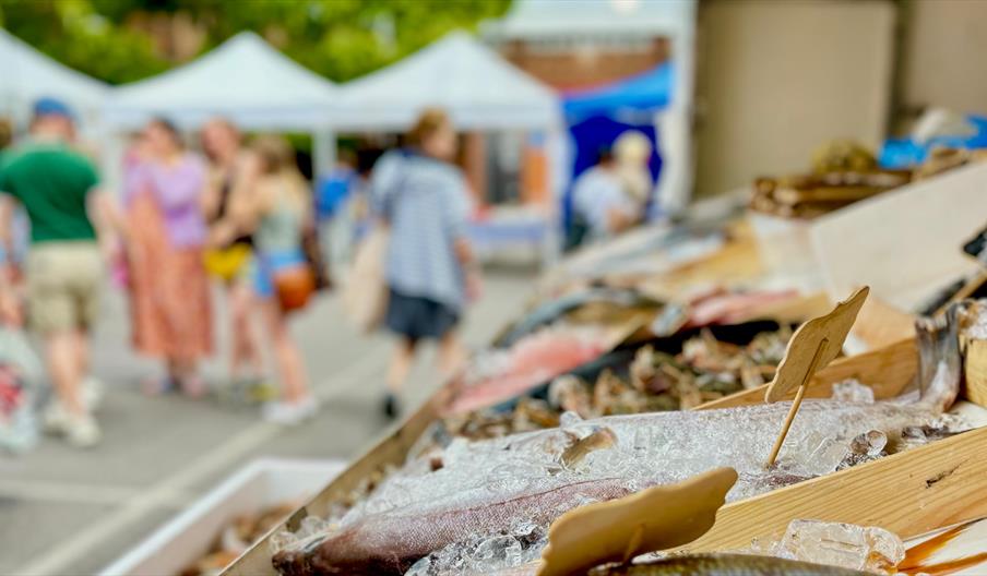 fish on ice at market