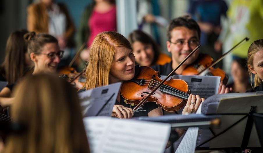 violin players