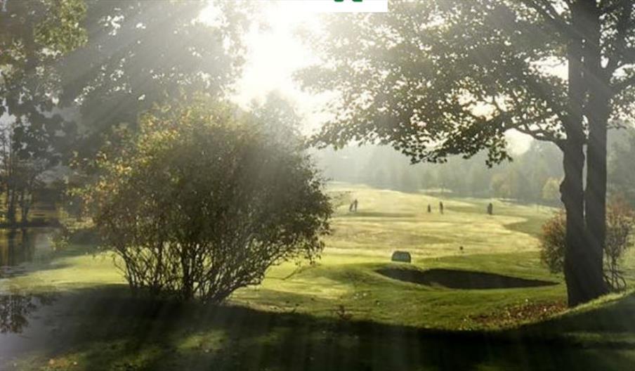 light coming through the trees over the golf course