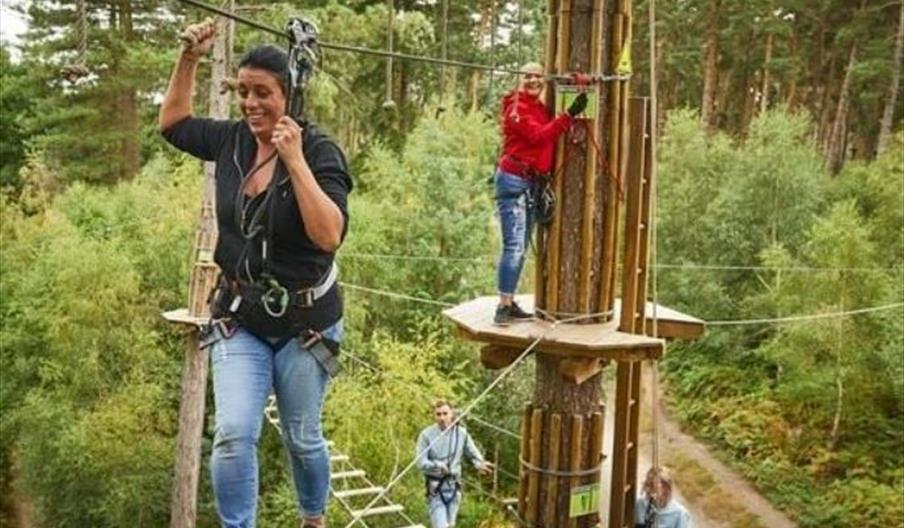 treetop rope walking
