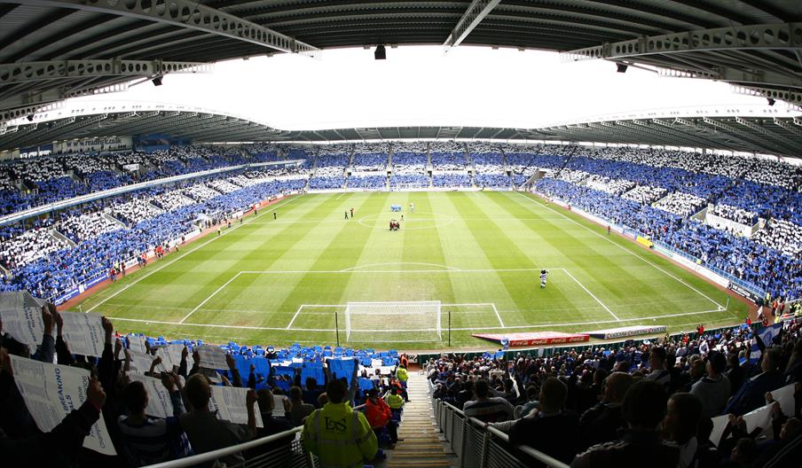 Reading FC fans in the stadium, blue and white