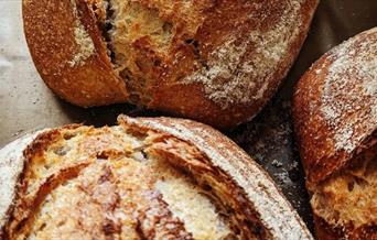 Bread