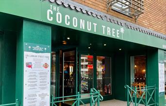 Front of Coconut Tree