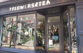 shop window with plants