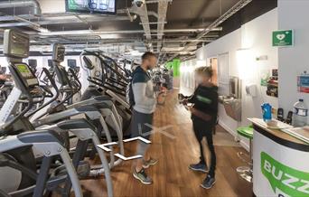 Treadmill machines in the gym