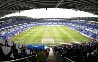 Reading FC fans in the stadium, blue and white