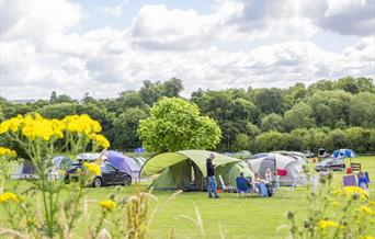 Tents in a field with flowers