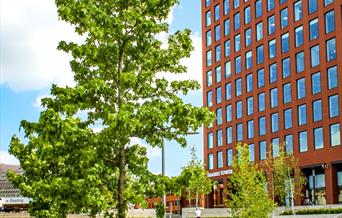 tower block from below with tree in foreground