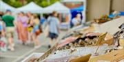 fish on ice at market