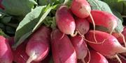 radishes