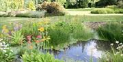 pond in Harris Gardens