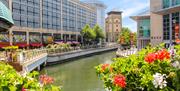 Oracle riverside with flowers