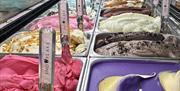 Gelato flavours with scoops beside