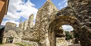 Reading Abbey Ruins